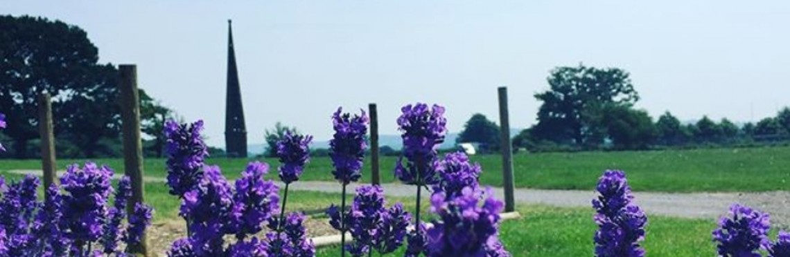 yeovil showground rose tower cropped